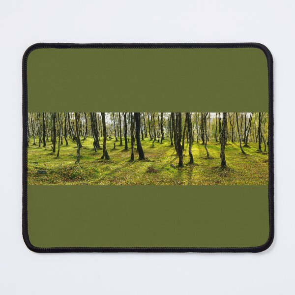 Item preview, Bolehill Woodland Panorama designed and sold by Alisonchambers2.
