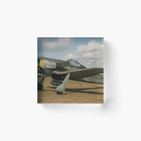 Item preview, Focke-Wulf Fw 190 Butcher Bird designed and sold by Skyframe Aviation.