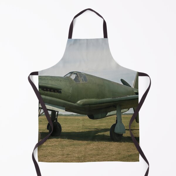 Item preview, Dornier Do 335 Pfeil Push Pull Fighter designed and sold by Skyframe Aviation.
