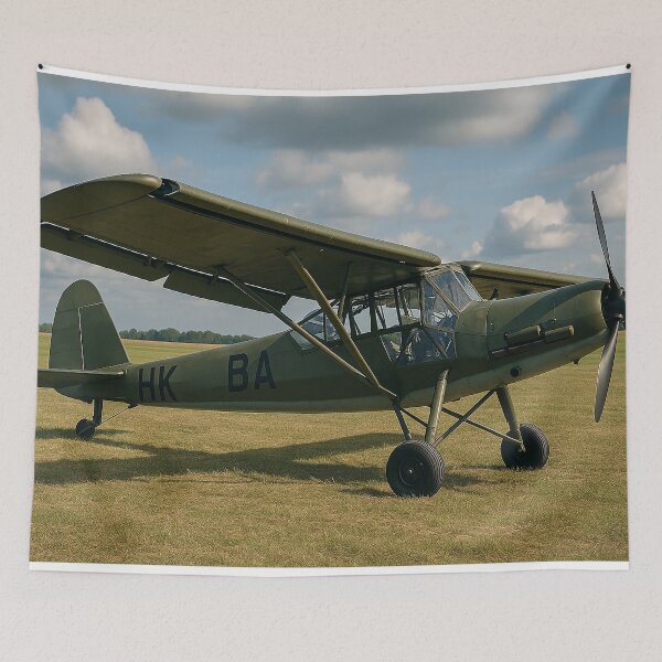 Item preview, Fieseler Fi 156 Storch STOL Aircraft designed and sold by Skyframe Aviation.