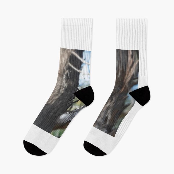 Item preview, Flight of the Kookaburra designed and sold by Wildpix.