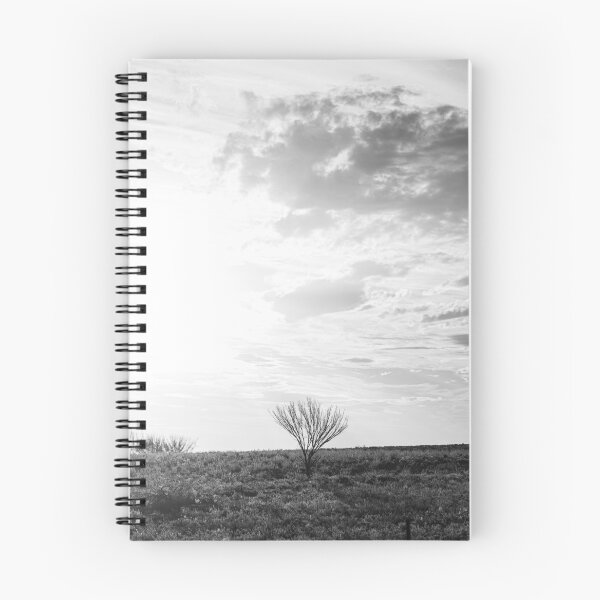 Item preview, Soloist designed and sold by IdleImages.
