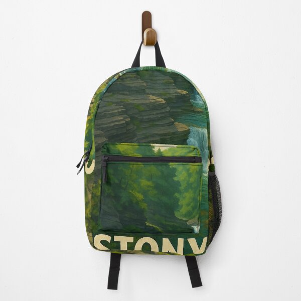 Item preview, Forest Gorge at Stony Brook State Park designed and sold by Places On Earth.
