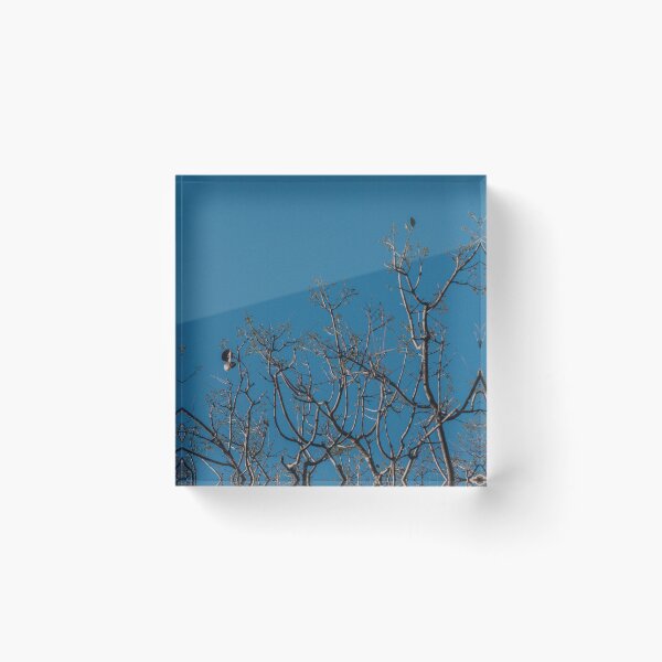 Item preview, True Blue designed and sold by IdleImages.