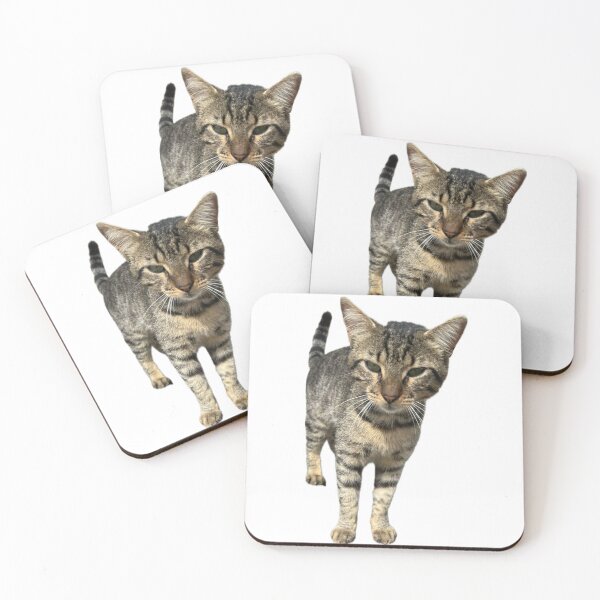 Item preview, Tabby Stray Street Cat  designed and sold by Tee-Shirt-Topia.