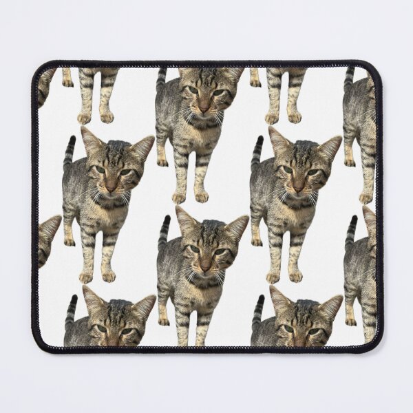 Item preview, Tabby Stray Street Cat designed and sold by Tee-Shirt-Topia.