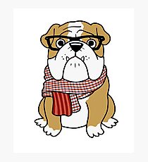 English Bulldog Hipster Photographic Print