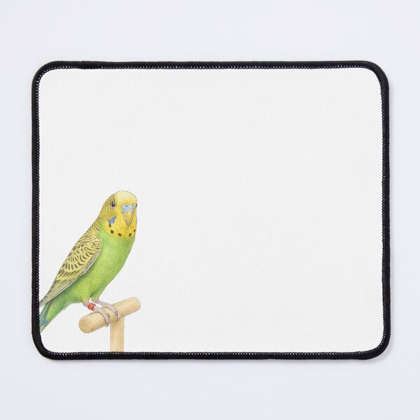 Item preview, Sketch budgie designed and sold by Aviario Soler Alcaide.