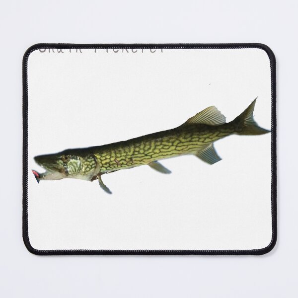 Item preview, No.018 – Chain Pickerel designed and sold by taichi69nz.