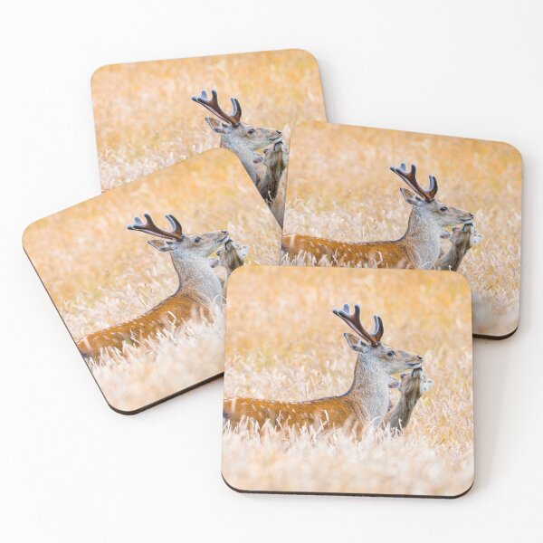 Item preview, Sika Stag and adoring Hind designed and sold by Dalyndigital Photography.