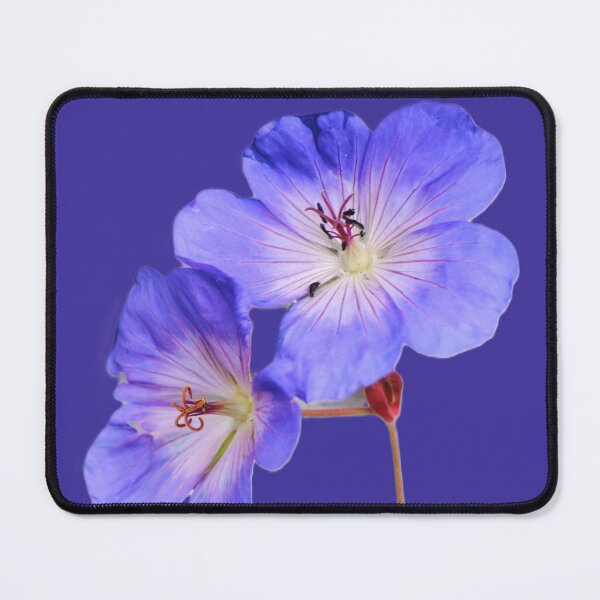 Item preview, Purple Wallflower designed and sold by ArtsyAsFunk.