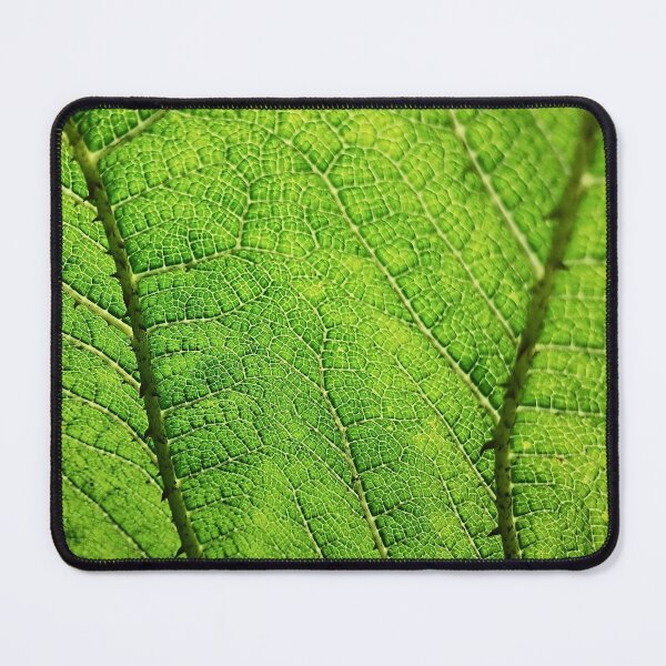 Item preview, Veins of Life – A Close-Up Journey Beneath the Leaf designed and sold by Lottie--.