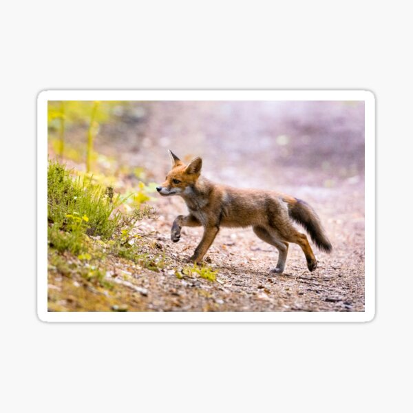 Item preview, Fox on the run designed and sold by OwlOccasions.