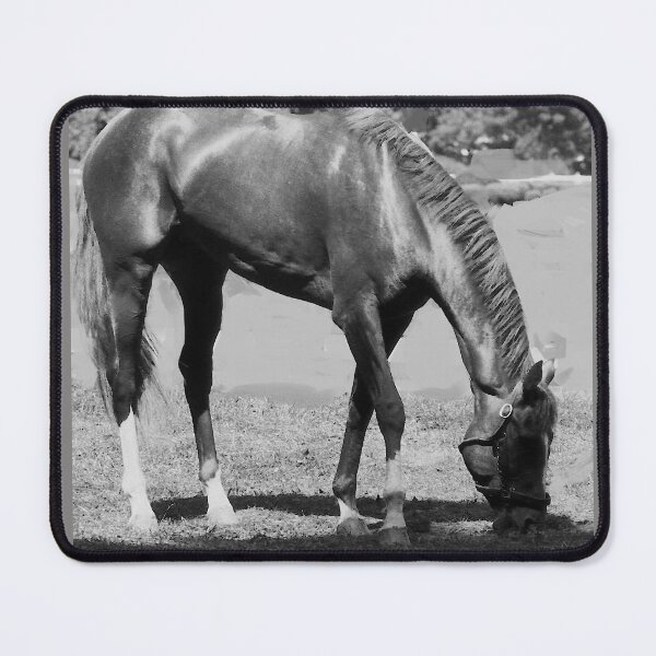 Item preview, C 2025 STEVE YELLOWBEAR JEAN HOLLOWAY HORSE GRAZING designed and sold by SteveYellowbear.
