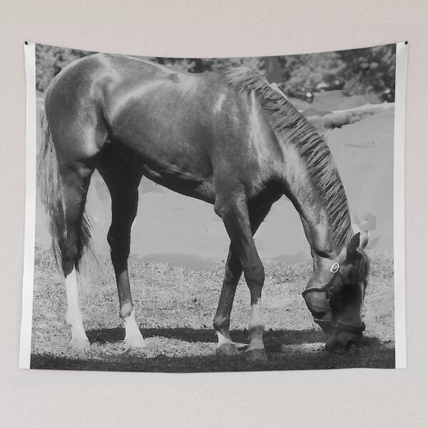 Item preview, C 2025 STEVE YELLOWBEAR JEAN HOLLOWAY HORSE GRAZING designed and sold by SteveYellowbear.