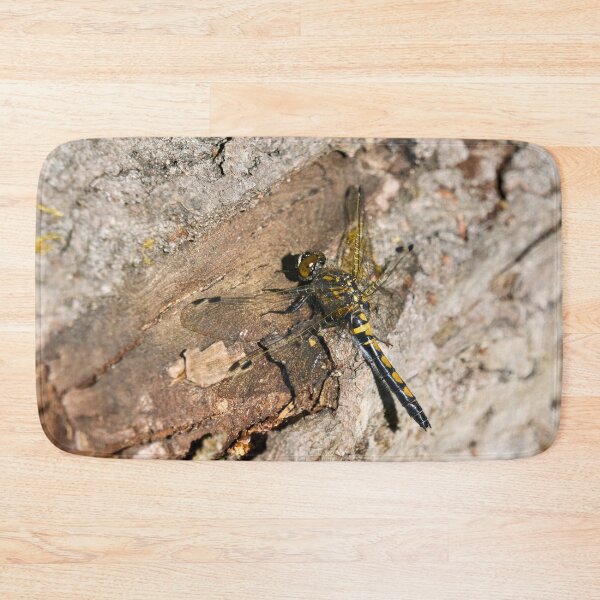 Item preview, Log'ed. Northern white-faced darter designed and sold by Jouko Lehto Photography.