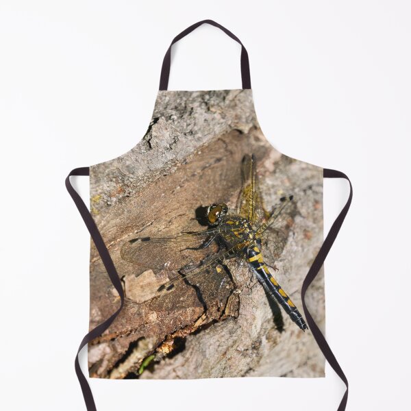 Item preview, Log'ed. Northern white-faced darter designed and sold by Jouko Lehto Photography.