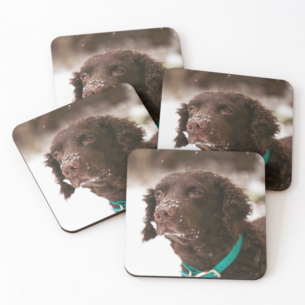 Item preview, Curly coated retriever puppy  designed and sold by leah-b-photo.