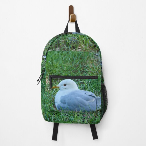 Item preview, My eggs my future. Common gull designed and sold by Jouko Lehto Photography.