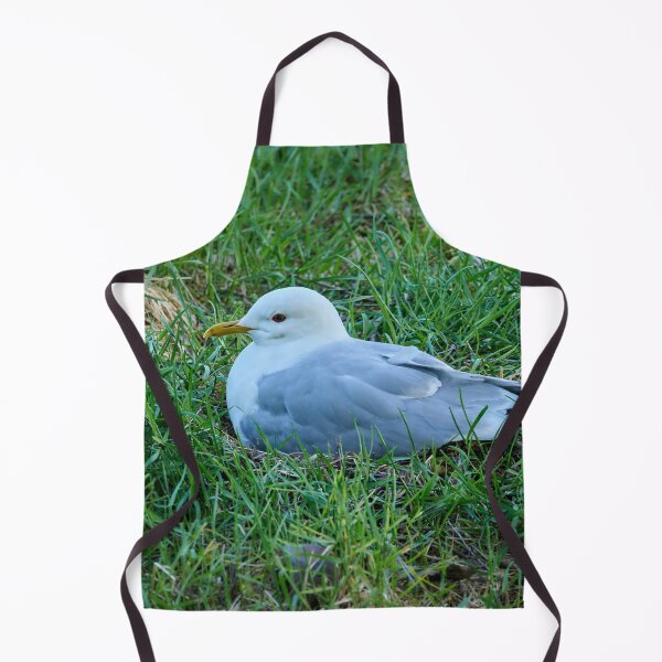 Item preview, My eggs my future. Common gull designed and sold by Jouko Lehto Photography.
