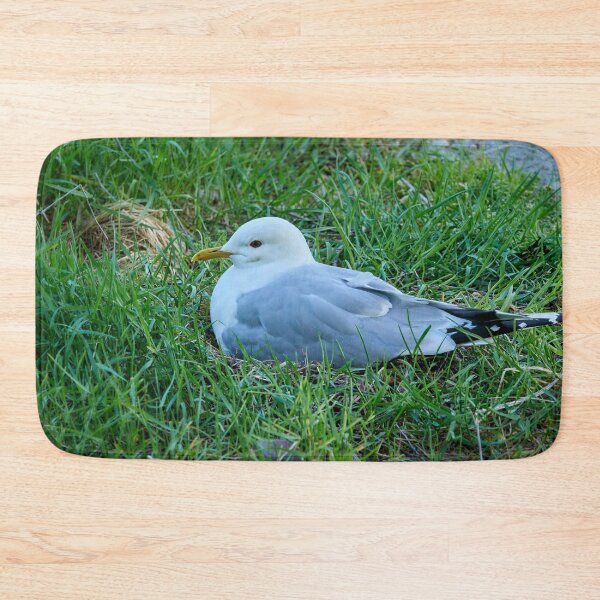 Item preview, My eggs my future. Common gull designed and sold by Jouko Lehto Photography.