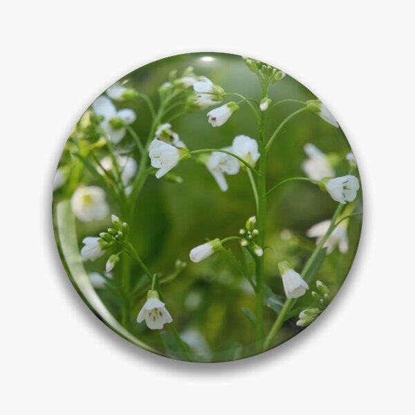 Item preview, Large bitter-cress close designed and sold by Jouko Lehto Photography.