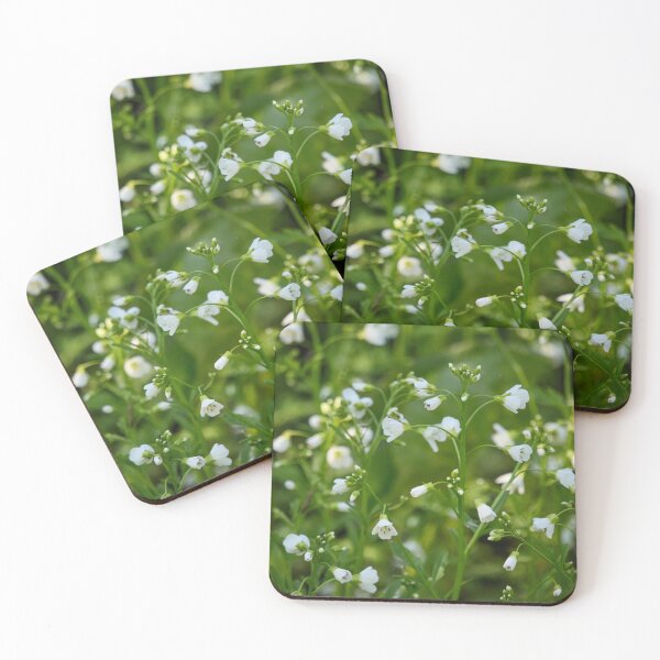 Item preview, Large bitter-cress close designed and sold by Jouko Lehto Photography.