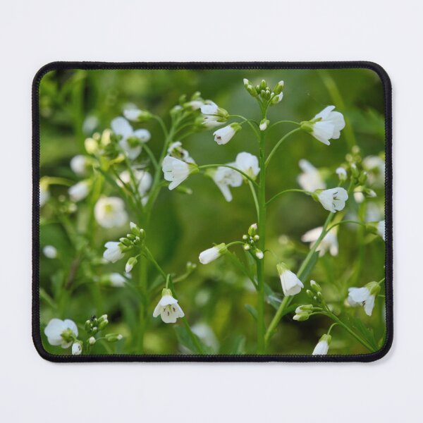 Item preview, Large bitter-cress close designed and sold by Jouko Lehto Photography.