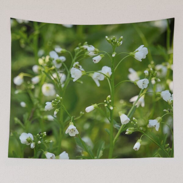 Item preview, Large bitter-cress close designed and sold by Jouko Lehto Photography.