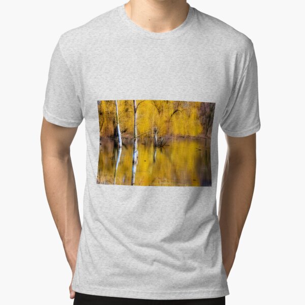 Tri-blend T-Shirt