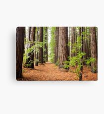 Allow Nature's Peace to Flow into You Canvas Print