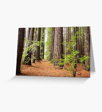 Allow Nature's Peace to Flow into You Greeting Card