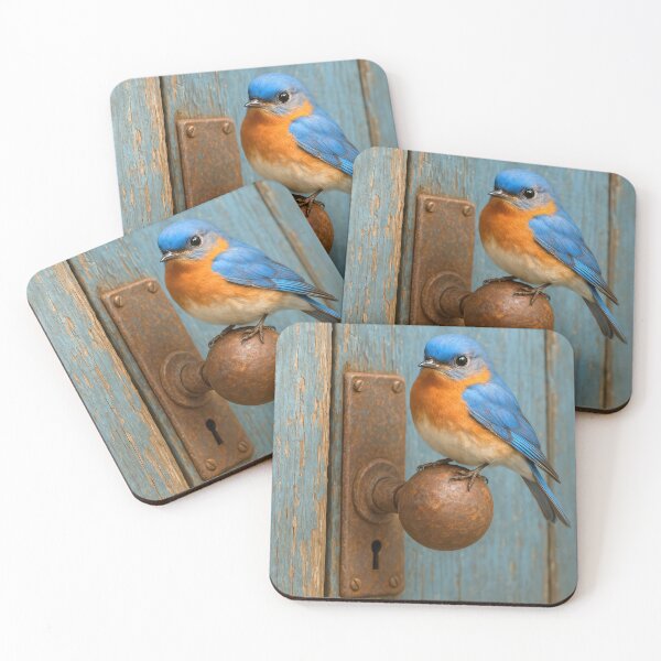 Item preview, Bluebird Perched On Rusty Doorknob designed and sold by Maria Dryfhout.