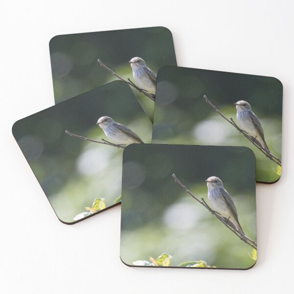 Item preview, Spotted Flycatcher designed and sold by LaurenTucker.