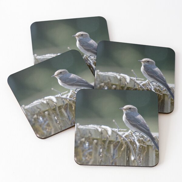 Item preview, Spotted Flycatcher designed and sold by LaurenTucker.
