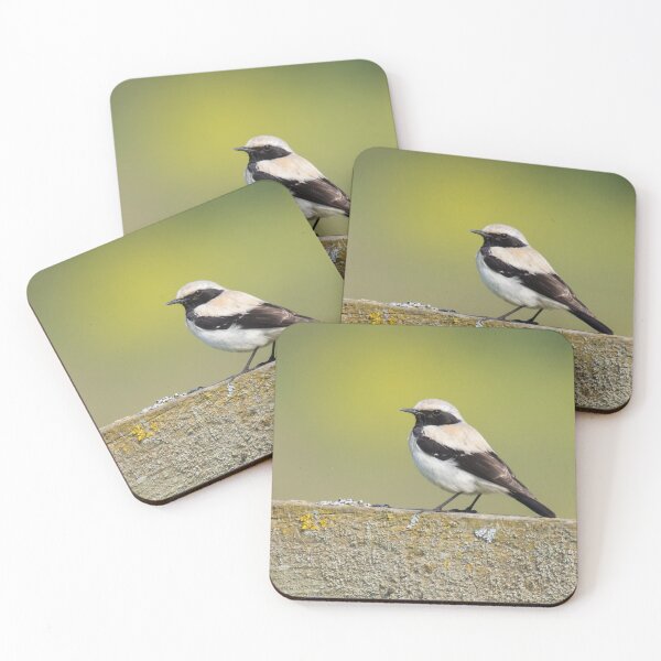 Item preview, Desert Wheatear designed and sold by LaurenTucker.