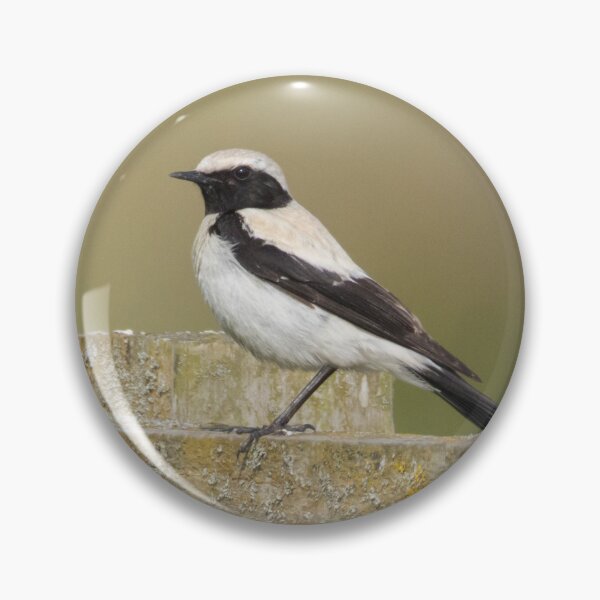 Item preview, Desert Wheatear designed and sold by LaurenTucker.