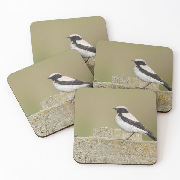Item preview, Desert Wheatear designed and sold by LaurenTucker.
