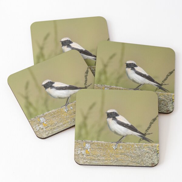 Item preview, Desert Wheatear designed and sold by LaurenTucker.