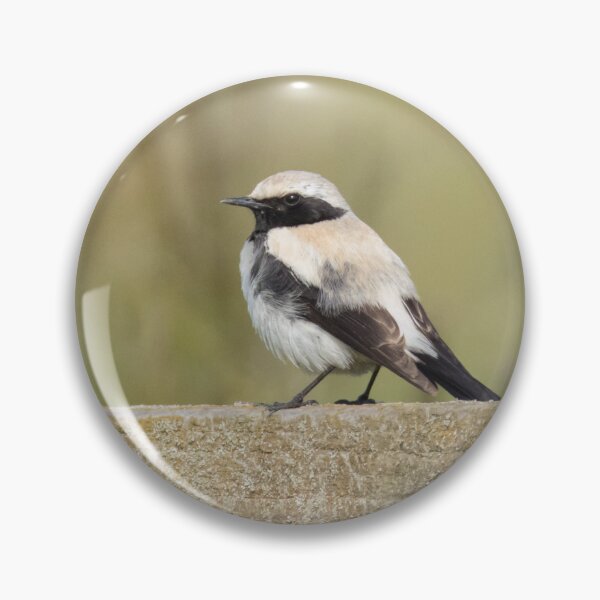 Item preview, Desert Wheatear designed and sold by LaurenTucker.