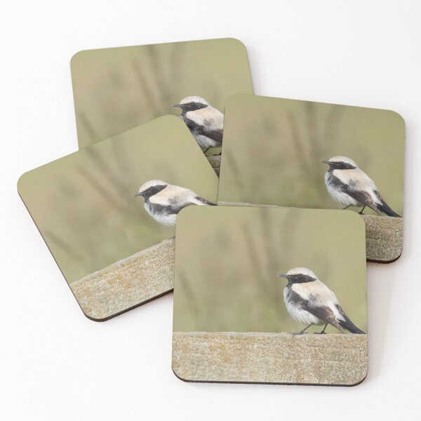 Item preview, Desert Wheatear designed and sold by LaurenTucker.