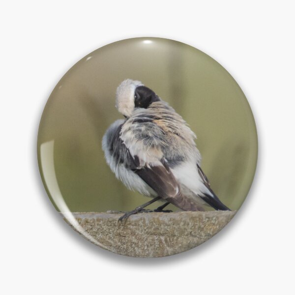 Item preview, Desert Wheatear designed and sold by LaurenTucker.
