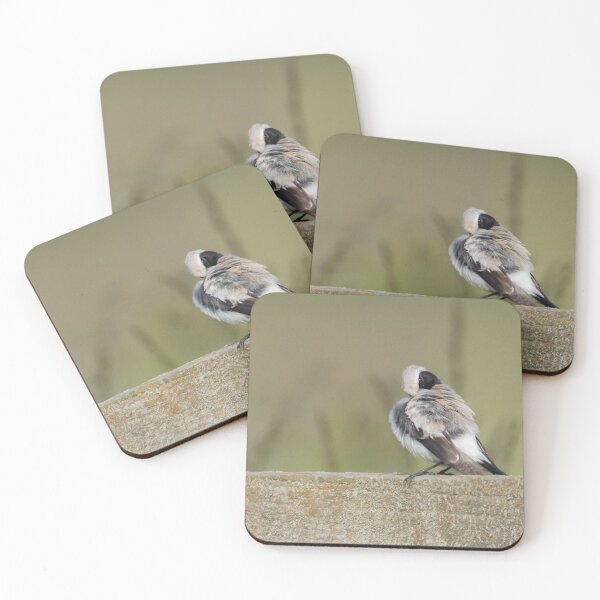 Item preview, Desert Wheatear designed and sold by LaurenTucker.
