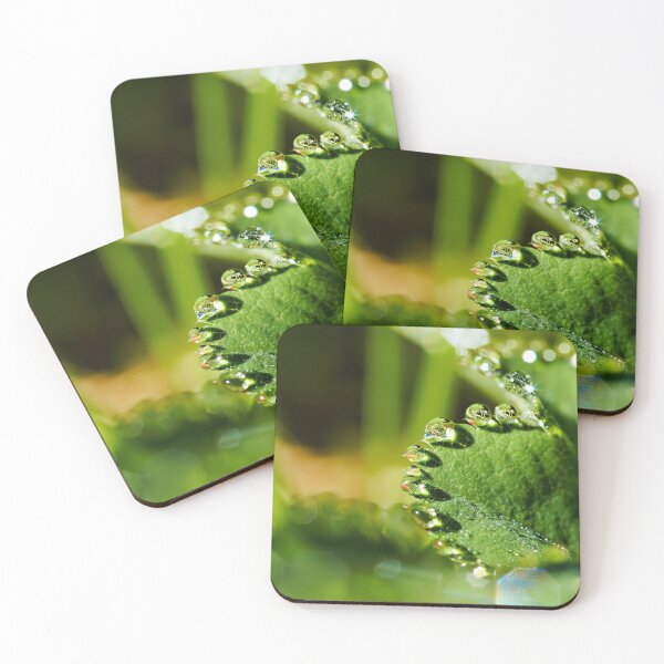 Item preview, Water beads on a meadow leaf designed and sold by beatbieri.ch.