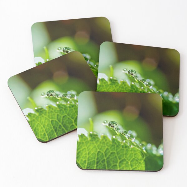 Item preview, Dewdrops in focus designed and sold by beatbieri.ch.
