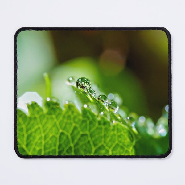 Item preview, Dewdrops in focus designed and sold by beatbieri.ch.