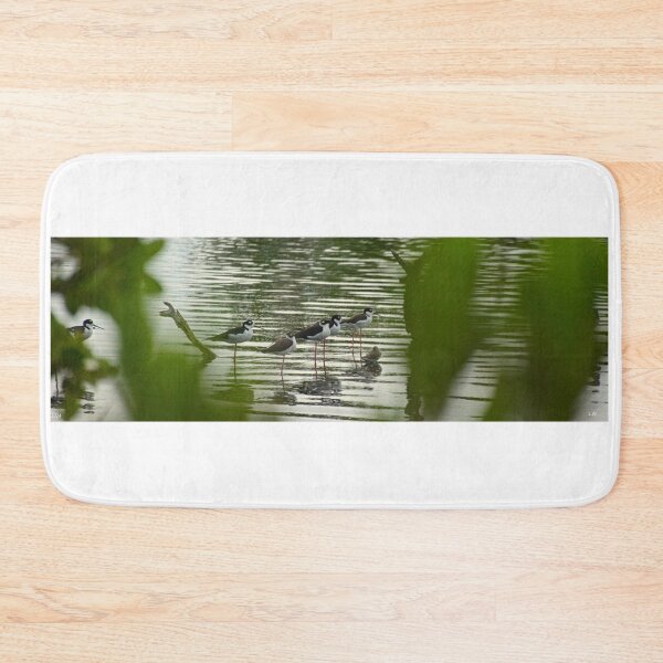 Item preview, Black Necked Stilts Panorama designed and sold by LisaWootenPhoto.