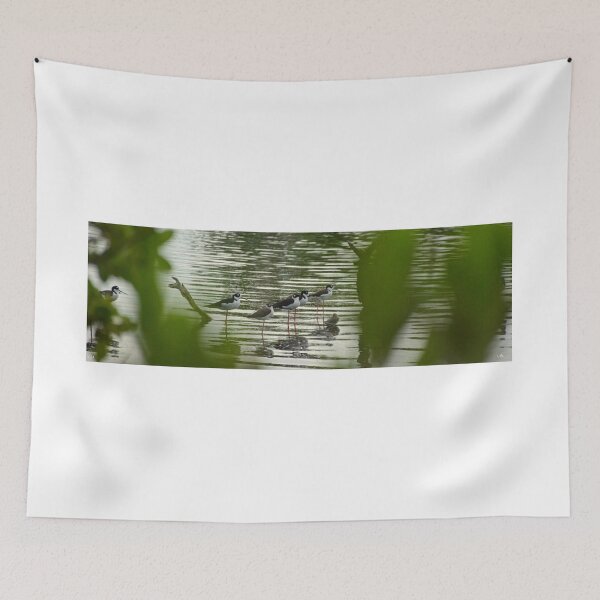 Item preview, Black Necked Stilts Panorama designed and sold by LisaWootenPhoto.