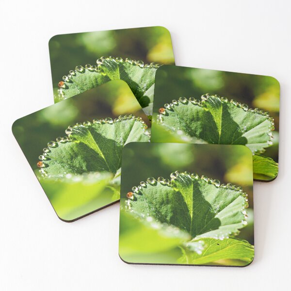 Item preview, Dew drops on green leaf in sunlight designed and sold by beatbieri.ch.