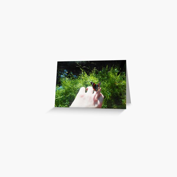 Item preview, Red Admiral landing on my hand designed and sold by Swirling_UniverseShop.